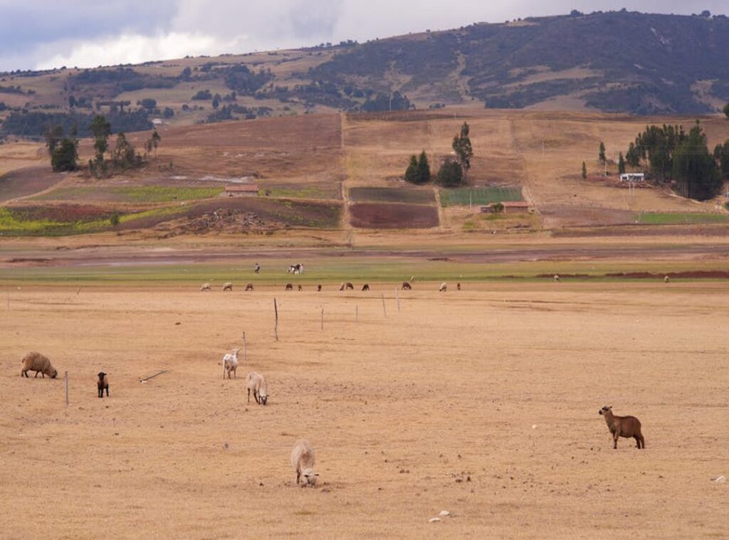 toca boca poppetjes kleding
