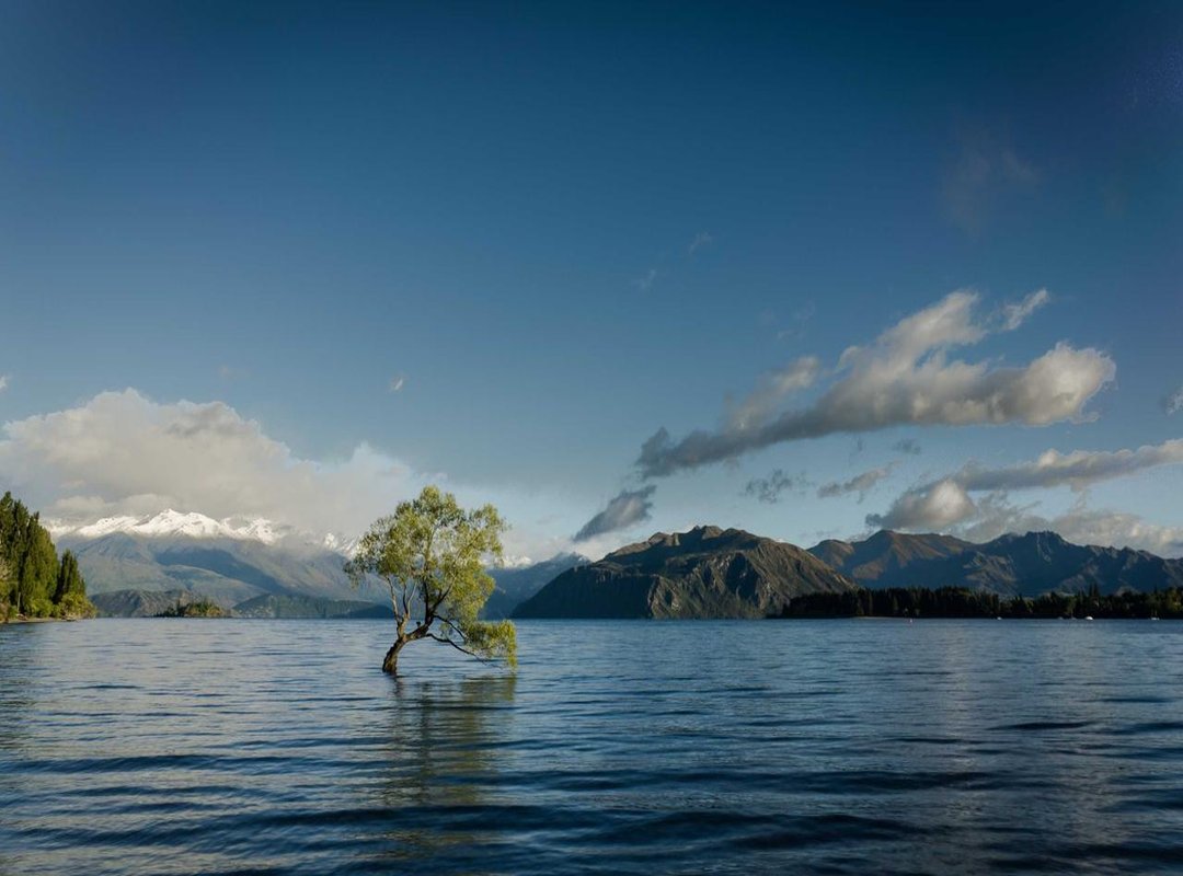 A Celebration of PlayStation: Over 150 Iconic Character Cameos