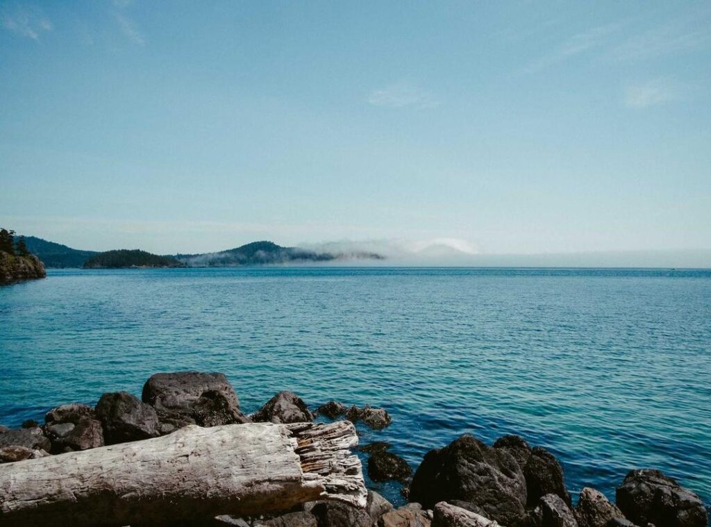 biascope download.lk