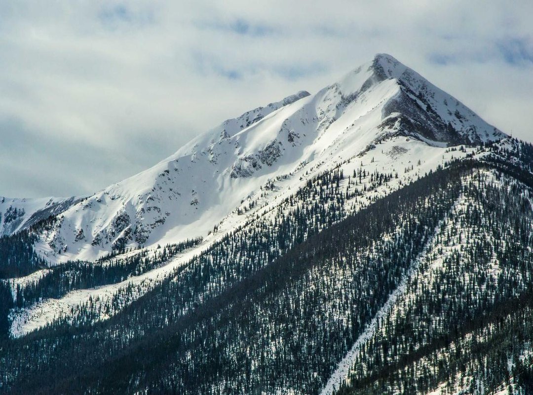 Where You've Seen Them Before: A Look at the Cast's Past Roles