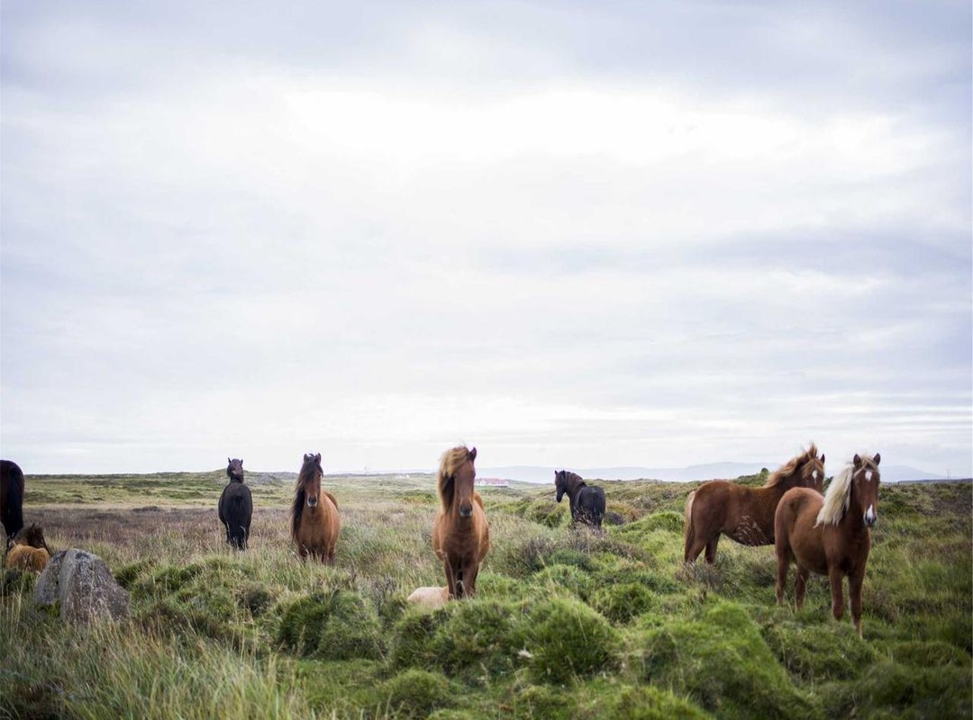 Why Your Livery Code Isn't Working (And How to Fix It)