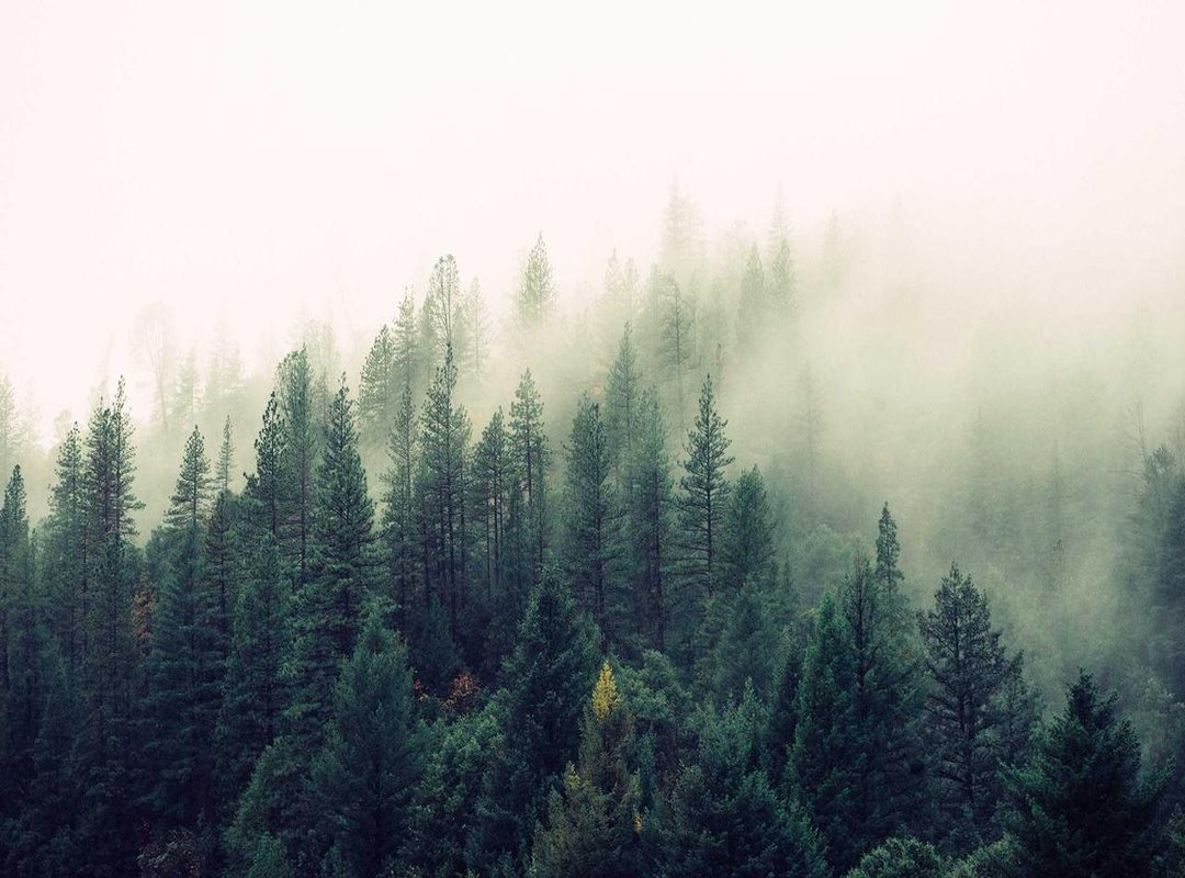 How to Spot a Deepfake: Telltale Signs to Look For