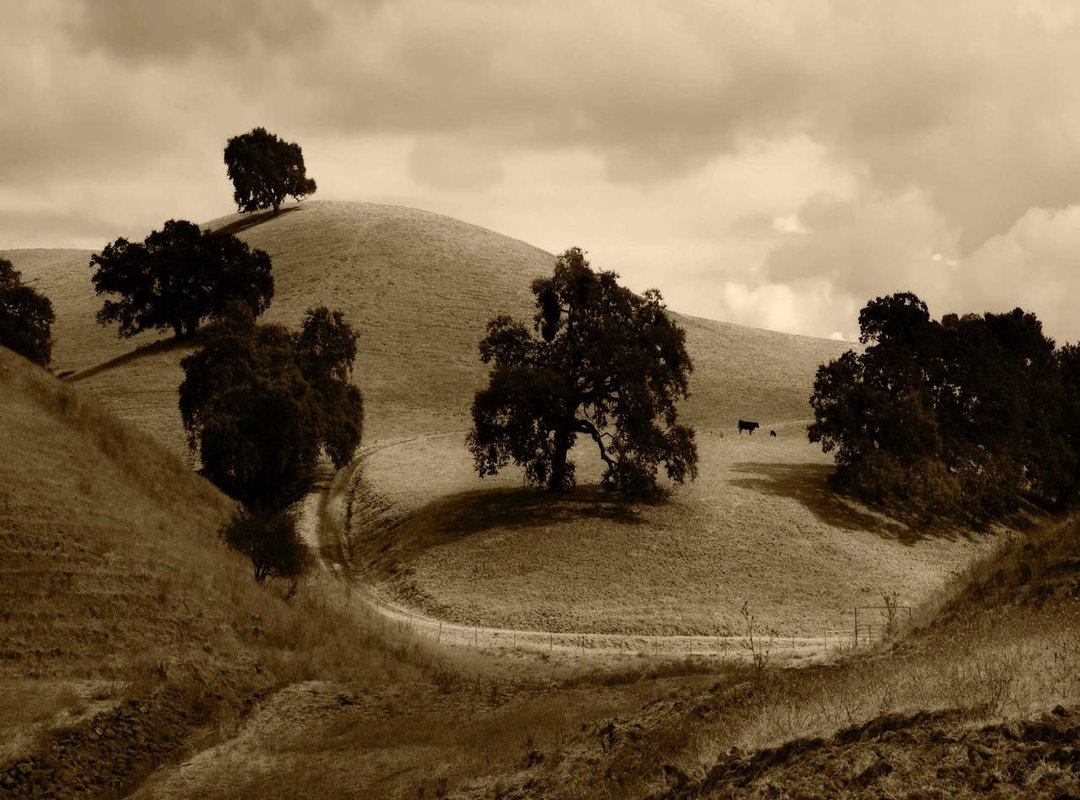 Performance Tweaks: Getting the Best Frame Rates