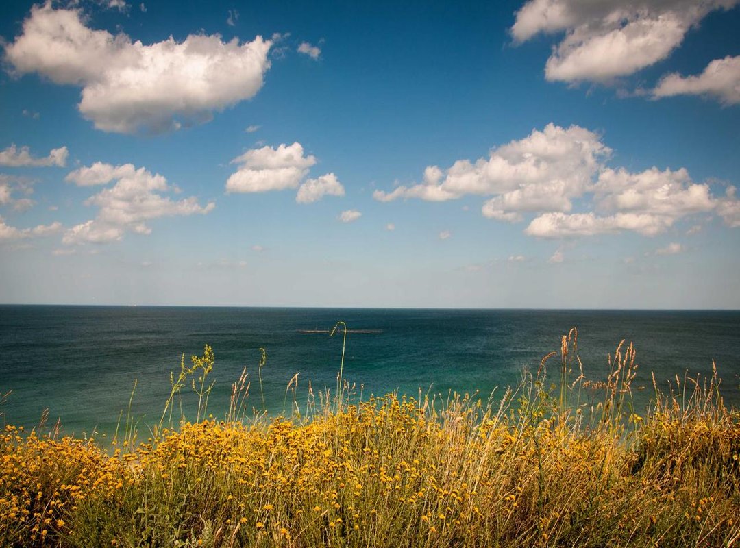 Unlocking the Full Library: Mastering Proton for Multiplayer Titles