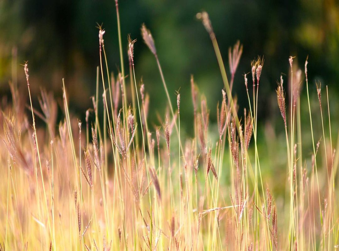 Modern Masterminds: Recent Thrillers You Can Stream Now