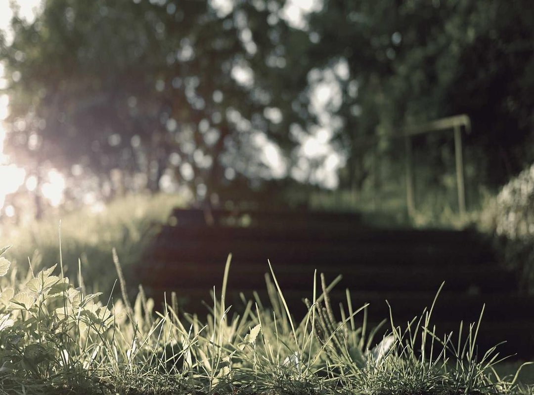 Hidden Gems: Where Leiria Locals Go for Great Value