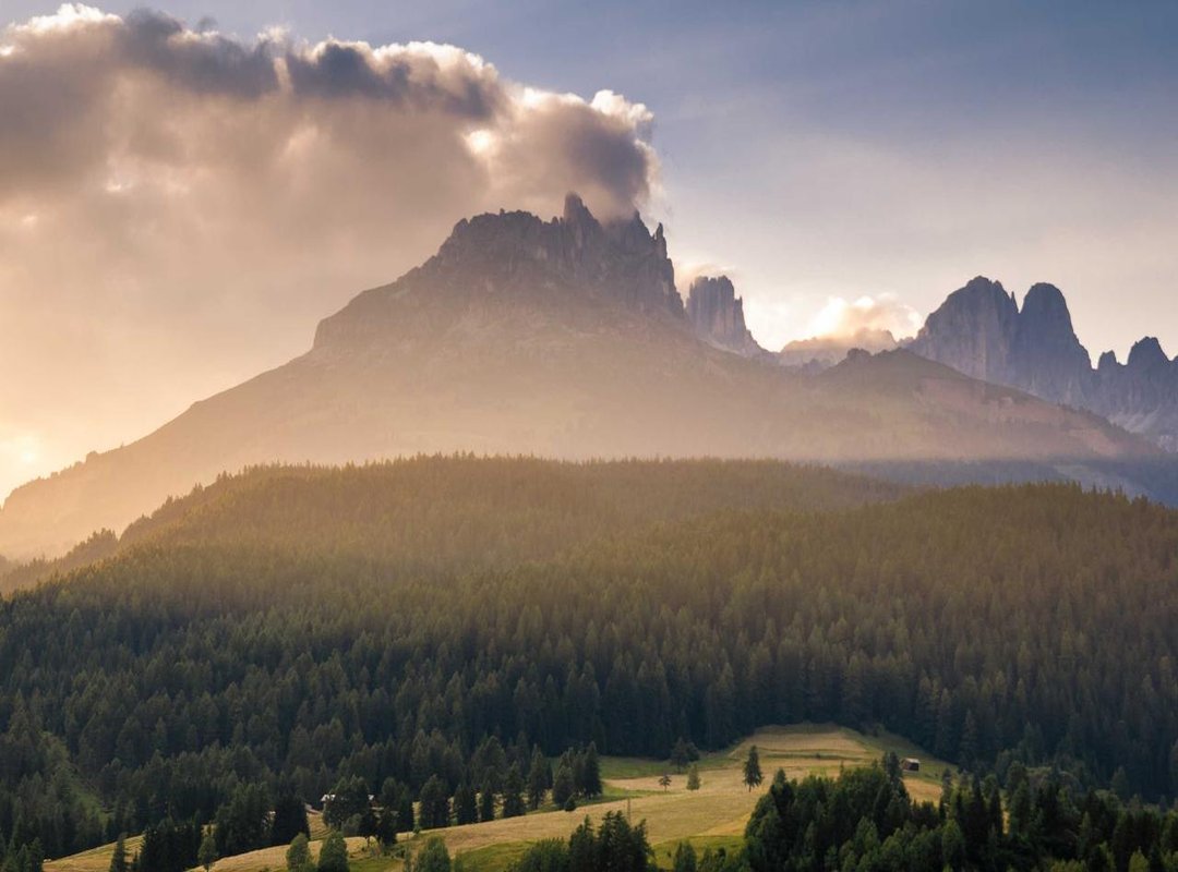 Decoding the Will: Other Beneficiaries and Stipulations