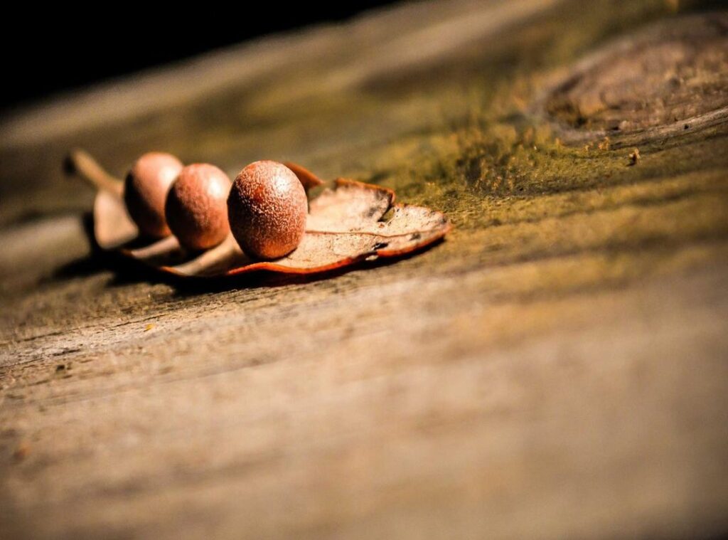 wrapped.vantezzen.ii