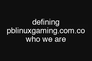 defining pblinuxgaming.com.co who we are